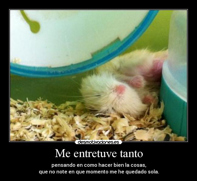 Me entretuve tanto -