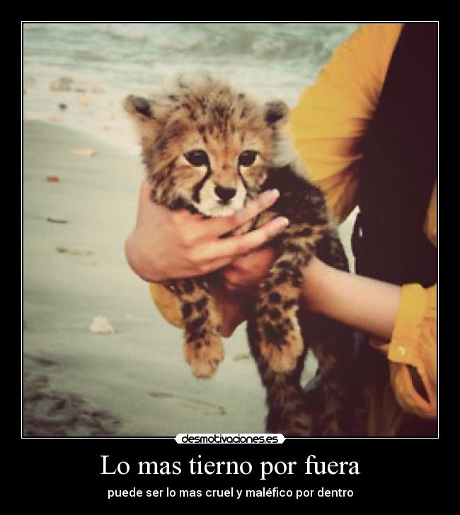 Lo mas tierno por fuera - 