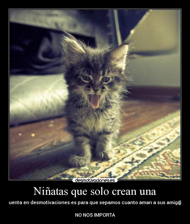 Niñatas que solo crean una - cuenta en desmotivaciones.es para que sepamos cuanto aman a sus amig@s
NO NOS IMPORTA