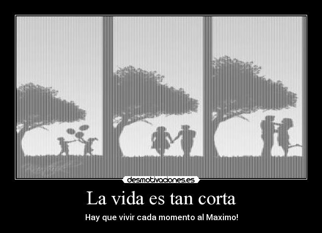 La vida es tan corta -