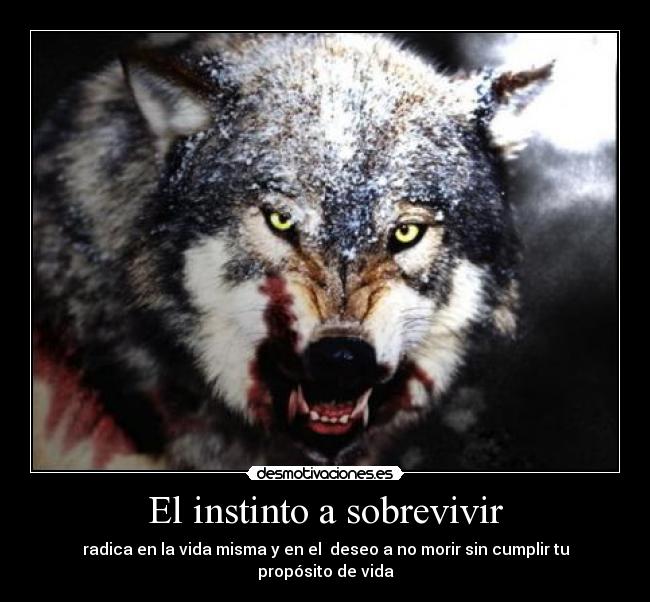 El instinto a sobrevivir - radica en la vida misma y en el  deseo a no morir sin cumplir tu propósito de vida