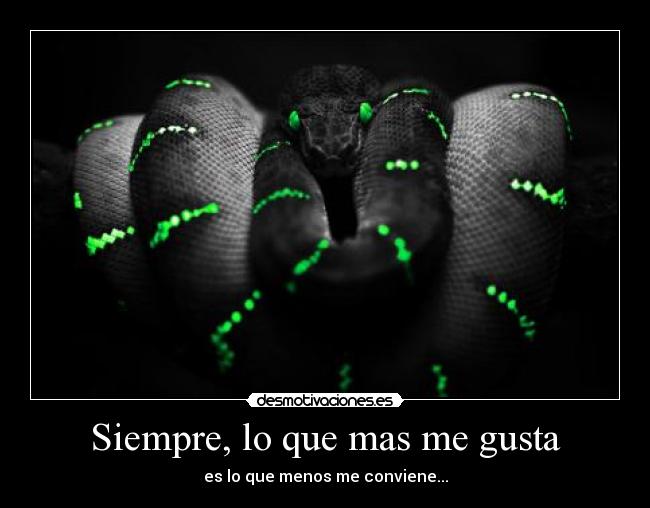 Siempre, lo que mas me gusta - 