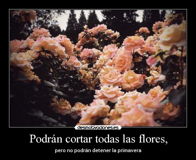 carteles neruda desmotivaciones