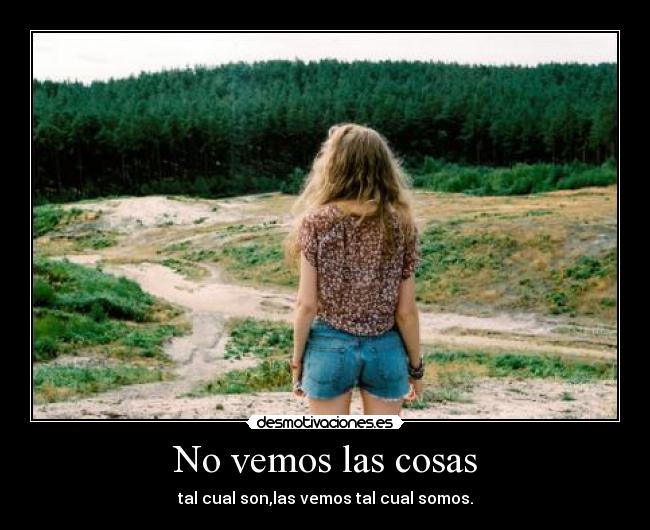 No vemos las cosas -
