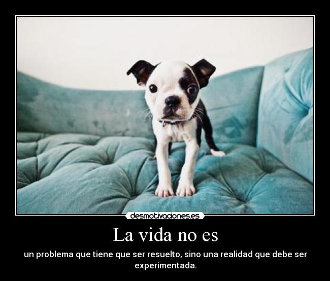 La vida no es - 