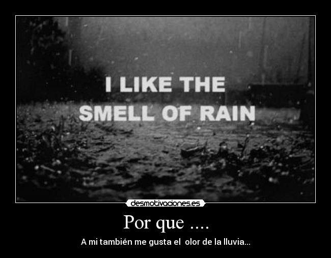 Por que .... - A mi también me gusta el olor de la lluvia...