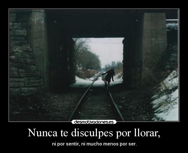 Nunca te disculpes por llorar, -