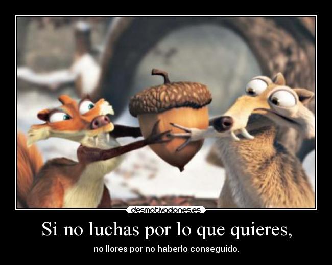 Si no luchas por lo que quieres, - no llores por no haberlo conseguido.