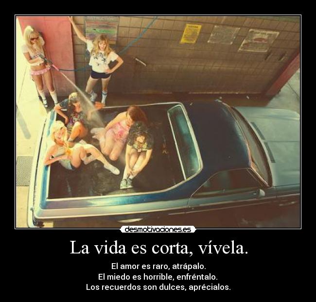 La vida es corta, vívela. -