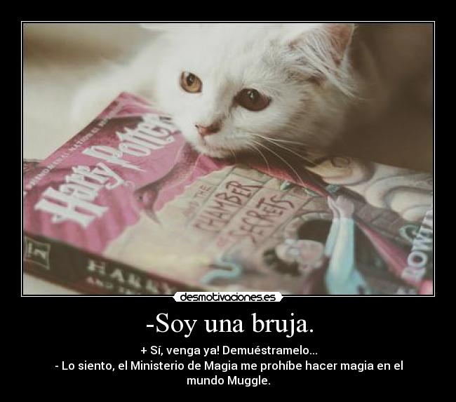 -Soy una bruja. -