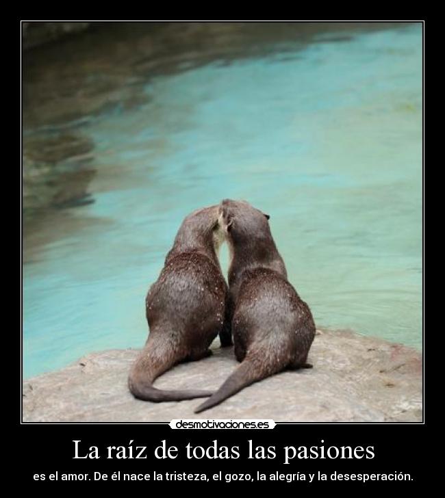 La raíz de todas las pasiones -