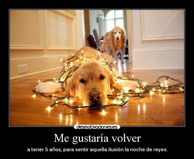 Me gustaría volver - a tener 5 años, para sentir aquella ilusión la noche de reyes.