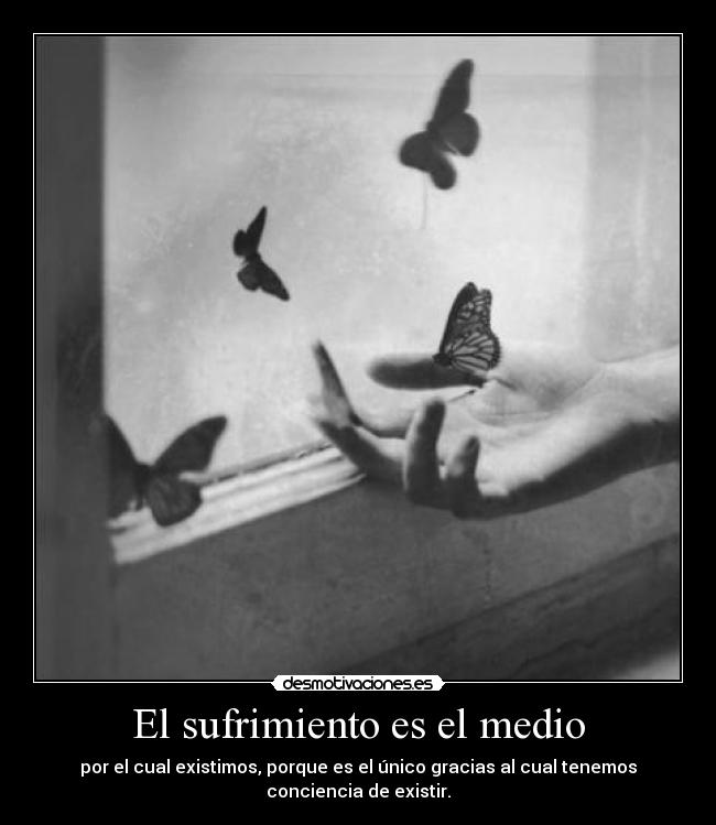 carteles sufrimiento desmotivaciones