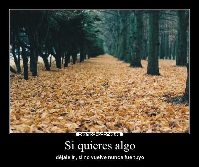 carteles volver desmotivaciones