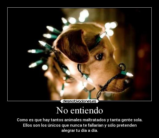 No entiendo - Como es que hay tantos animales maltratados y tanta gente sola.
Ellos son los únicos que nunca te fallarían y sólo pretenden alegrar tu día a día.