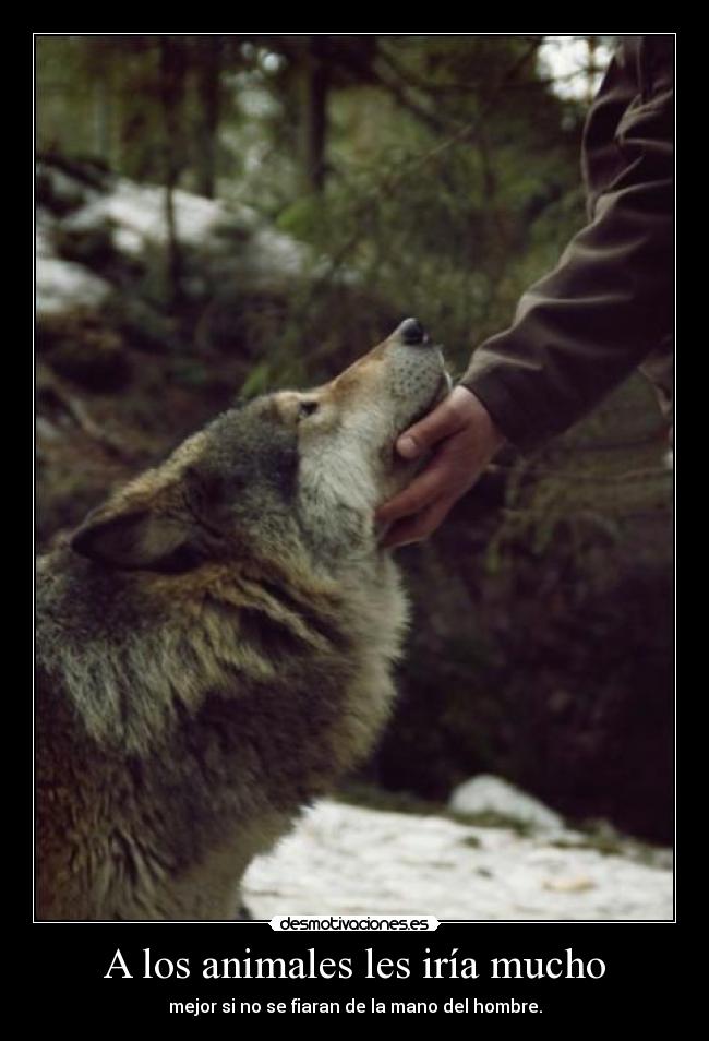 A los animales les iría mucho -