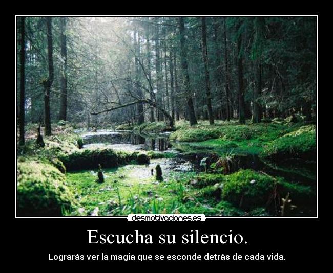 Escucha su silencio. - Lograrás ver la magia que se esconde detrás de cada vida.