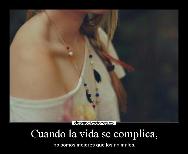 Cuando la vida se complica, - no somos mejores que los animales.
