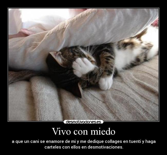 Vivo con miedo -