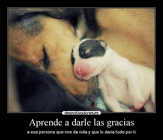 Aprende a darle las gracias -