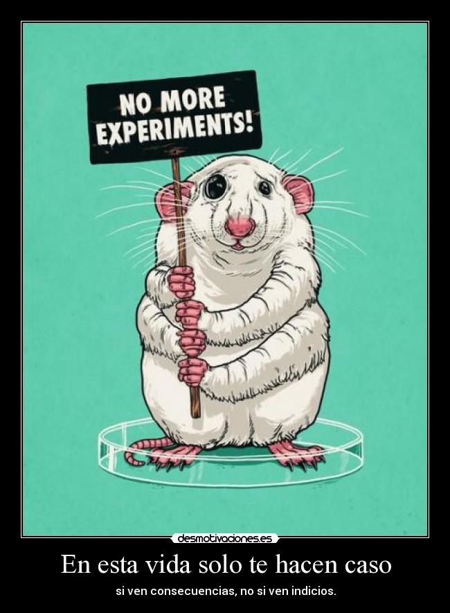 En esta vida solo te hacen caso - 