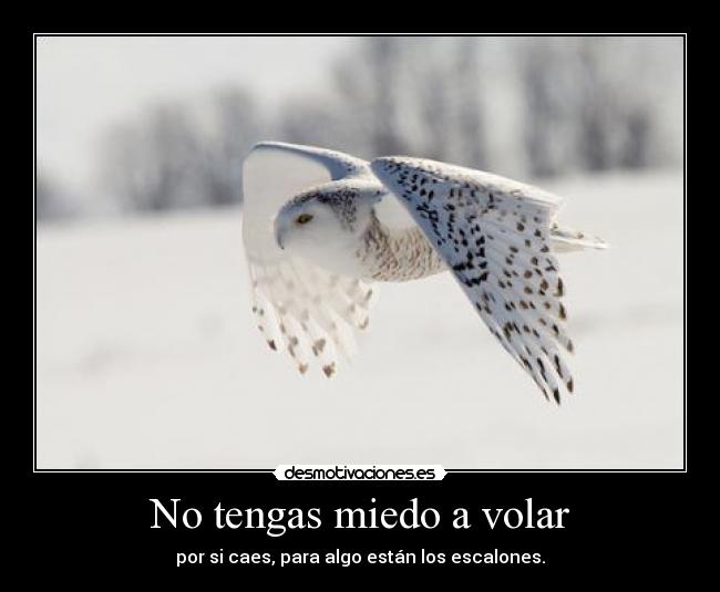No tengas miedo a volar - 
