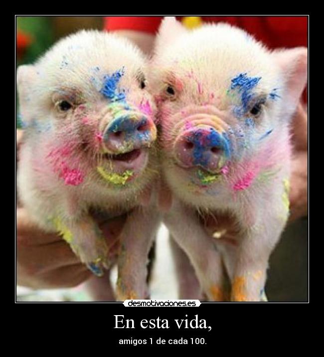 En esta vida, - amigos 1 de cada 100.