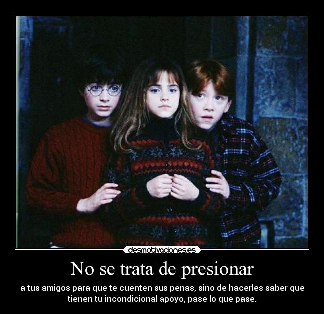 carteles pottermania apoyo incodicional nomiresaqui desmotivaciones