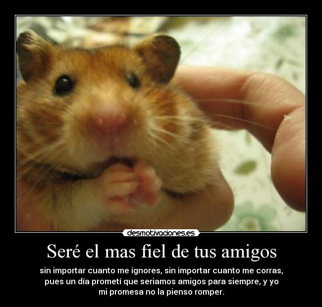 carteles amigos nuuuuuh sere como olor tus pies wahaha ejeje desmotivaciones