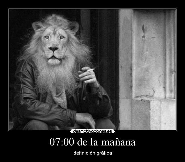 carteles madrugar desmotivaciones