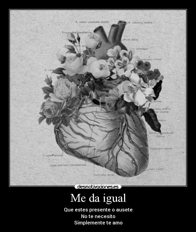 Me da igual - Que estes presente o ausete
No te necesito
Simplemente te amo