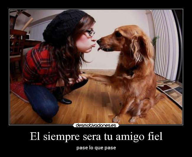 El siempre sera tu amigo fiel - pase lo que pase