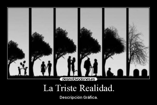La Triste Realidad. - Descripción Gráfica.
