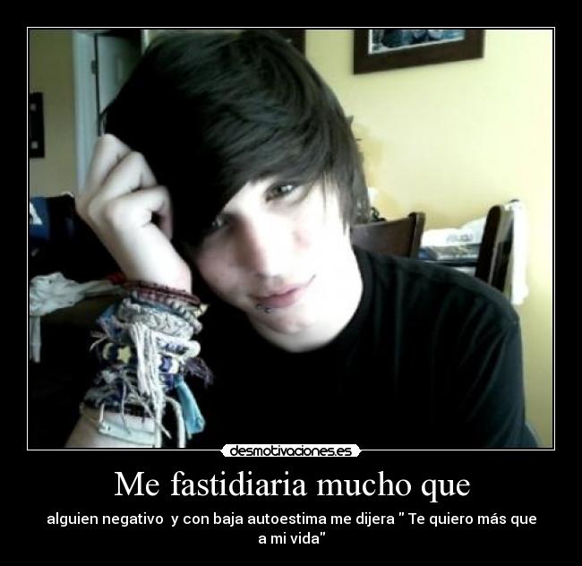 Me fastidiaria mucho que - 