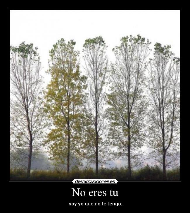 No eres tu - soy yo que no te tengo.