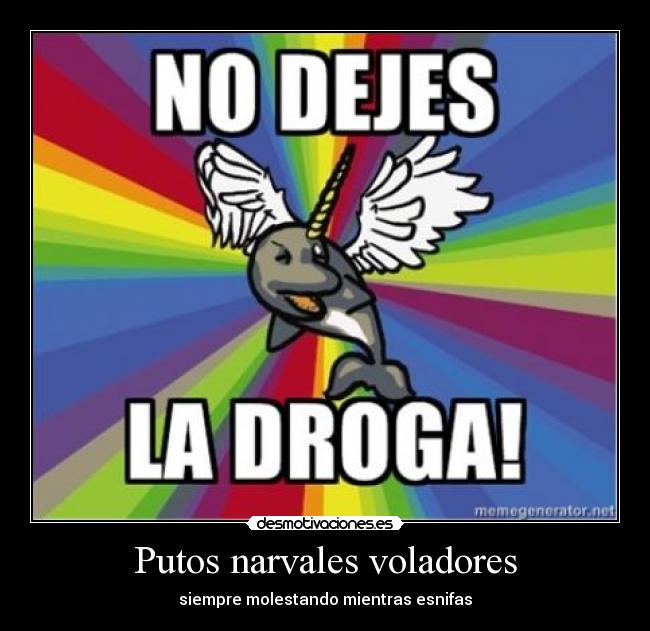 Putos narvales voladores - 