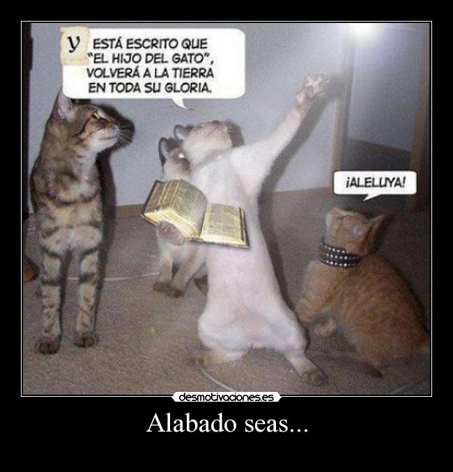 Alabado seas... - 
