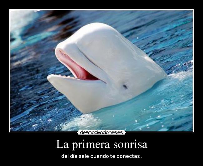 La primera sonrisa - 