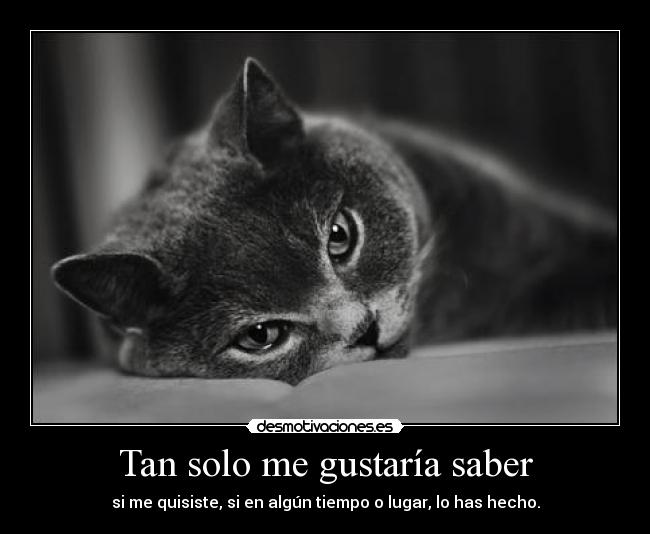 Tan solo me gustaría saber -