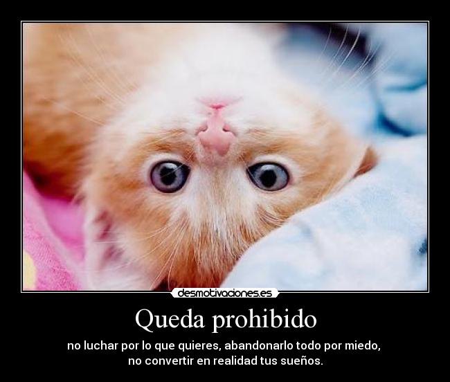Queda prohibido - no luchar por lo que quieres, abandonarlo todo por miedo,
no convertir en realidad tus sueños.