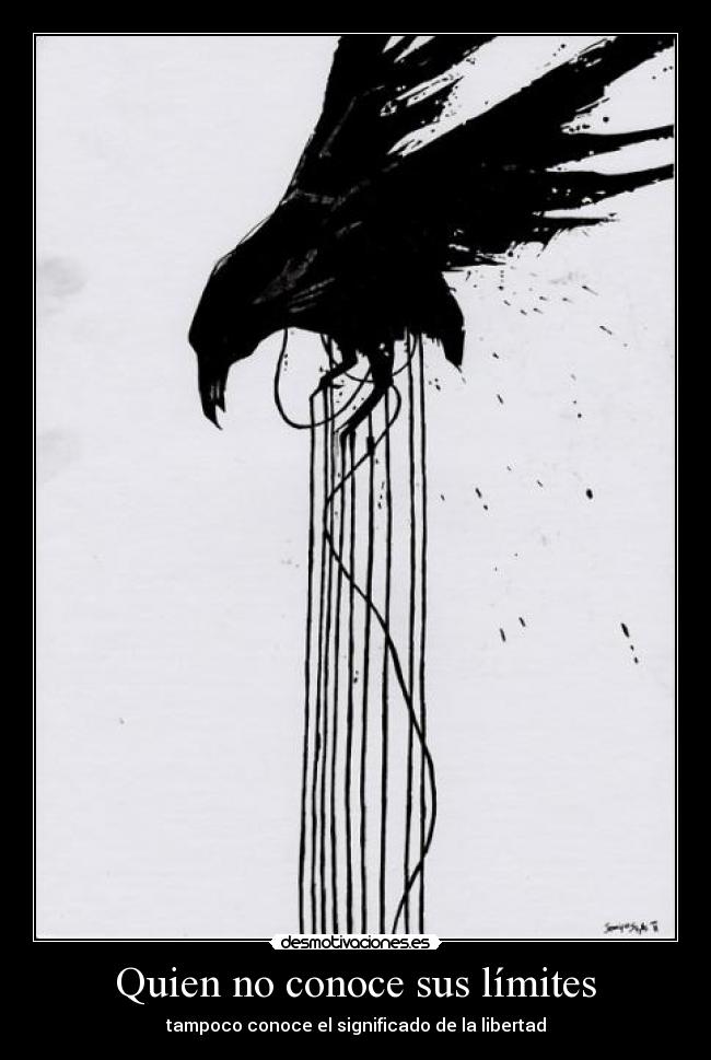 Quien no conoce sus límites - 