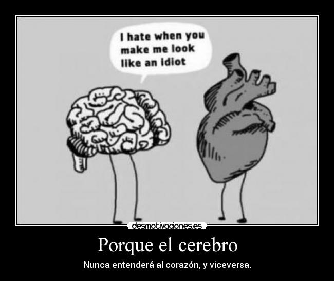 Porque el cerebro - 