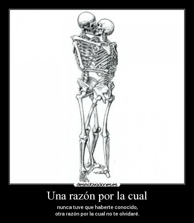 Una razón por la cual - nunca tuve que haberte conocido,
otra razón por la cual no te olvidaré.