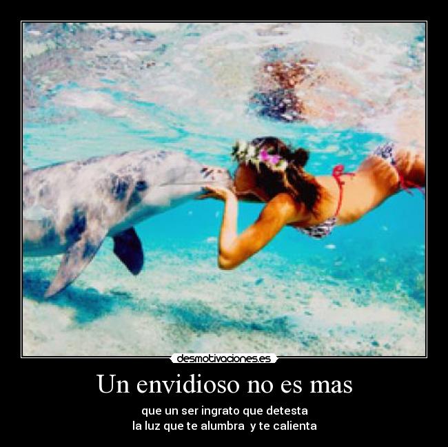 Un envidioso no es mas - 