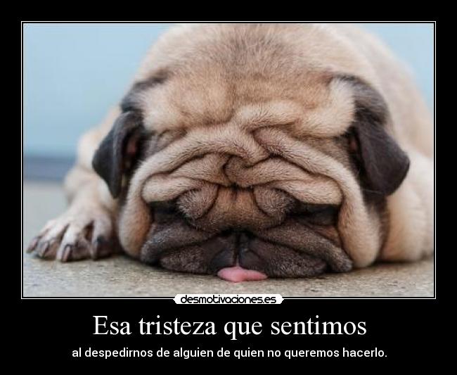 Esa tristeza que sentimos - 