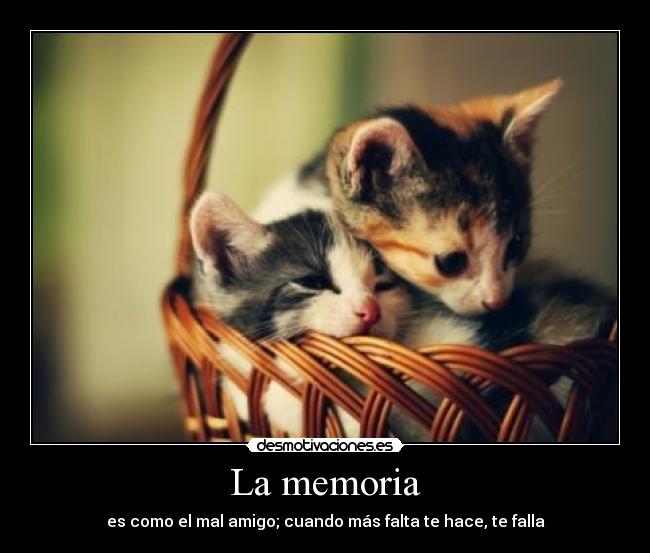 La memoria - 