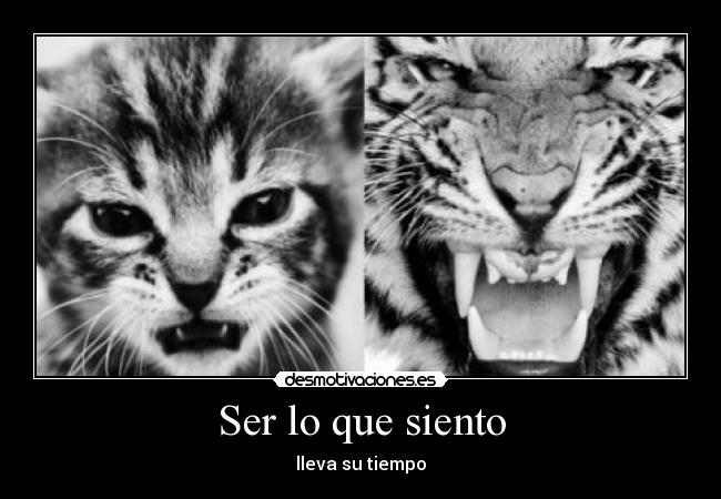 Ser lo que siento - lleva su tiempo