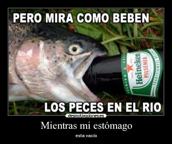 carteles estomago peces beber cerveza desmotivaciones