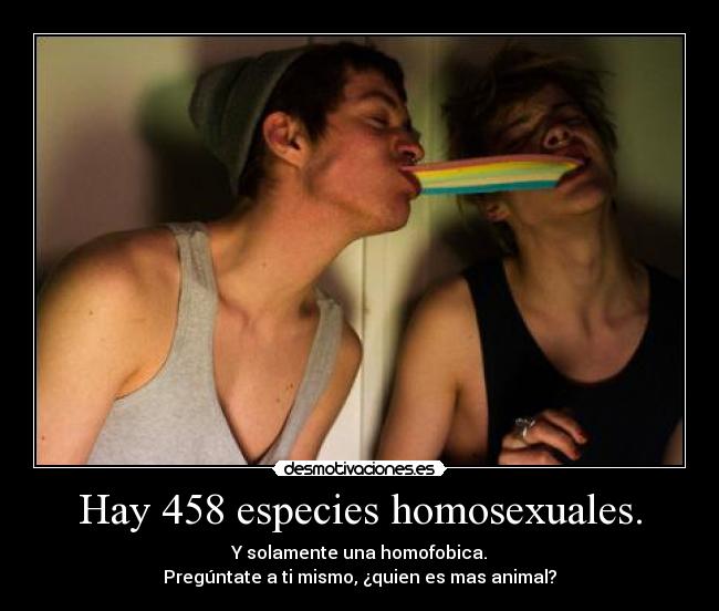 Hay 458 especies homosexuales. - 