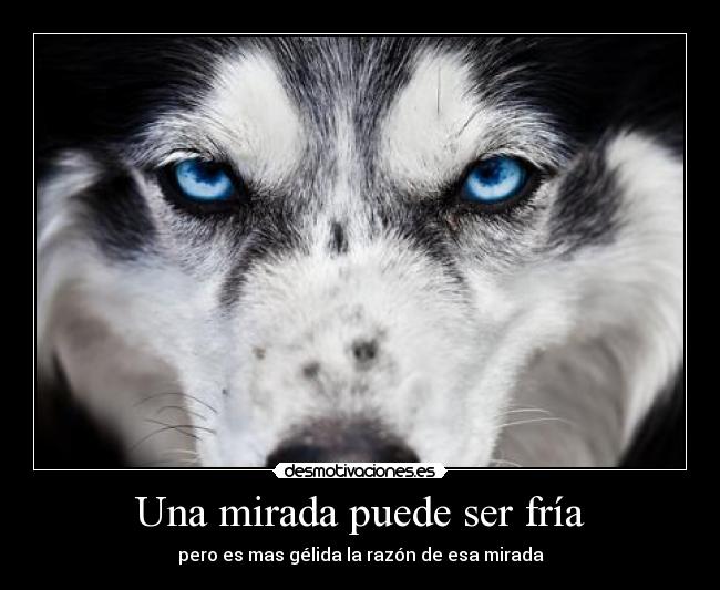 Una mirada puede ser fría -